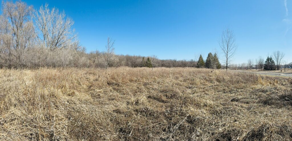 Open prairie field on the Eden Springs property